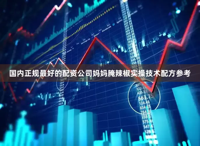 国内正规最好的配资公司妈妈腌辣椒实操技术配方参考
