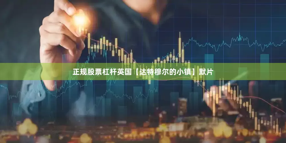 正规股票杠杆英国【达特穆尔的小镇】默片
